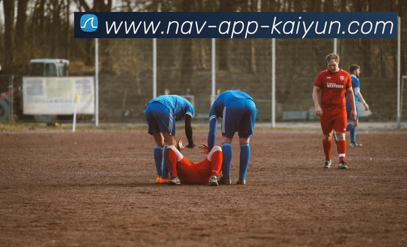 开云app服务体系