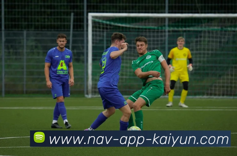 App Interface Preview