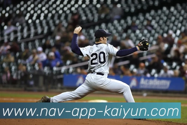 开云appAPP 封面图